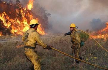 Se restaurarán las zonas incendiadas en Orense