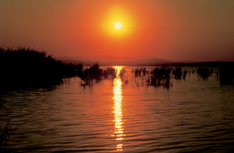 Medio Ambiente impulsa la marca Parques Naturales de la Comunidad Valenciana