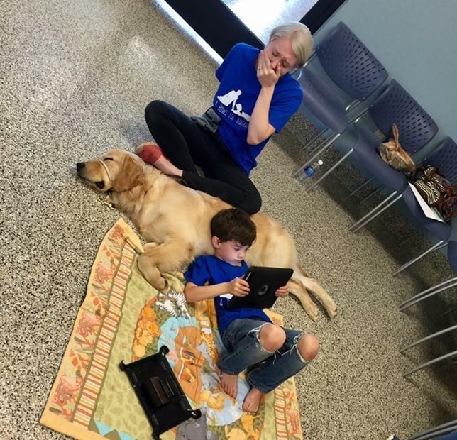 Un niño con autismo se ha relacionado por primera vez con un ser vivo… y ha sido un perro