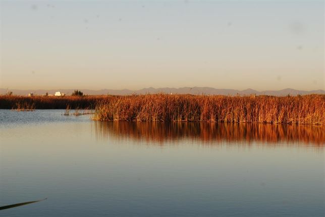 El Gobierno señala que los 167 hm3 al año para La Albufera "asegura de forma conservadora un adecuado balance hídrico"