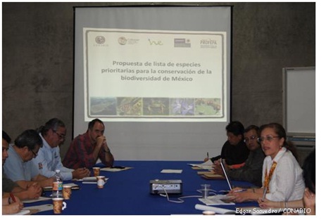 Especies prioritarias para la conservación se Proponen 375 Plantas y Animales de México