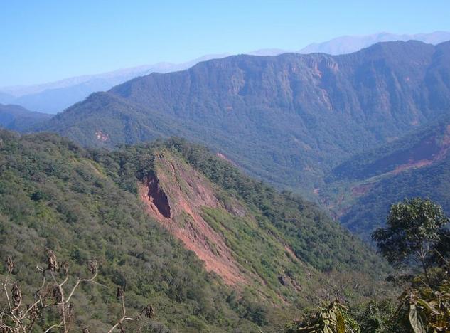 La Nación asiste a los incendios en el Parque Nacional Calilegua