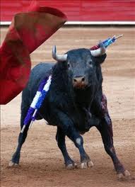 Cadena humana rodeará la plaza de toros de Las Ventas contra la tauromaquia