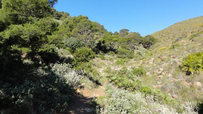 Un incendio de matorral en el parque natural de Cabo de Gata (Almería)