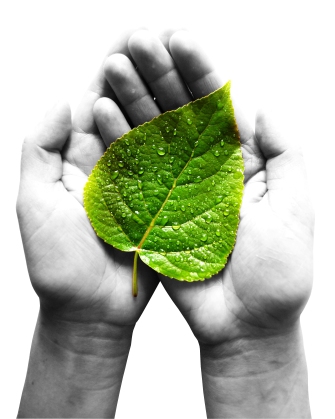 No te pierdas este MBA Executive en Medio Ambiente y Responsabilidad Social