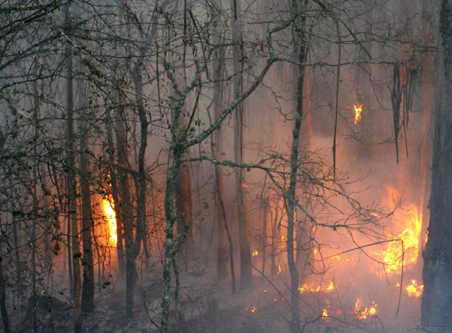 La Xunta defiende la gestión del incendio de las Fragas