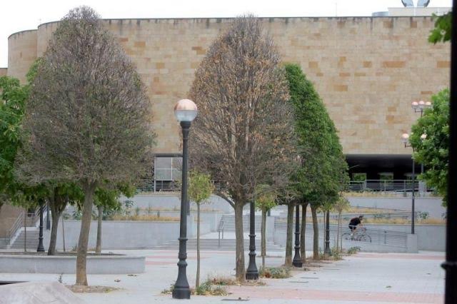 Logroño tomará medidas urgentes para evitar la muerte de los árboles de la ciudad