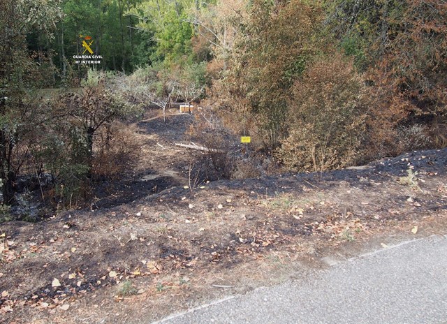 Dos investigados por la autoría de los incendios en Olleros de Alba y Villalfeide