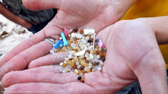 Argentina: Hallan microplásticos en varias especies del Río de La Plata