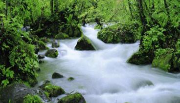Carburos Metálicos lidera una innovadora iniciativa para desarrollar nuevas soluciones tecnológicas en el tratamiento de aguas