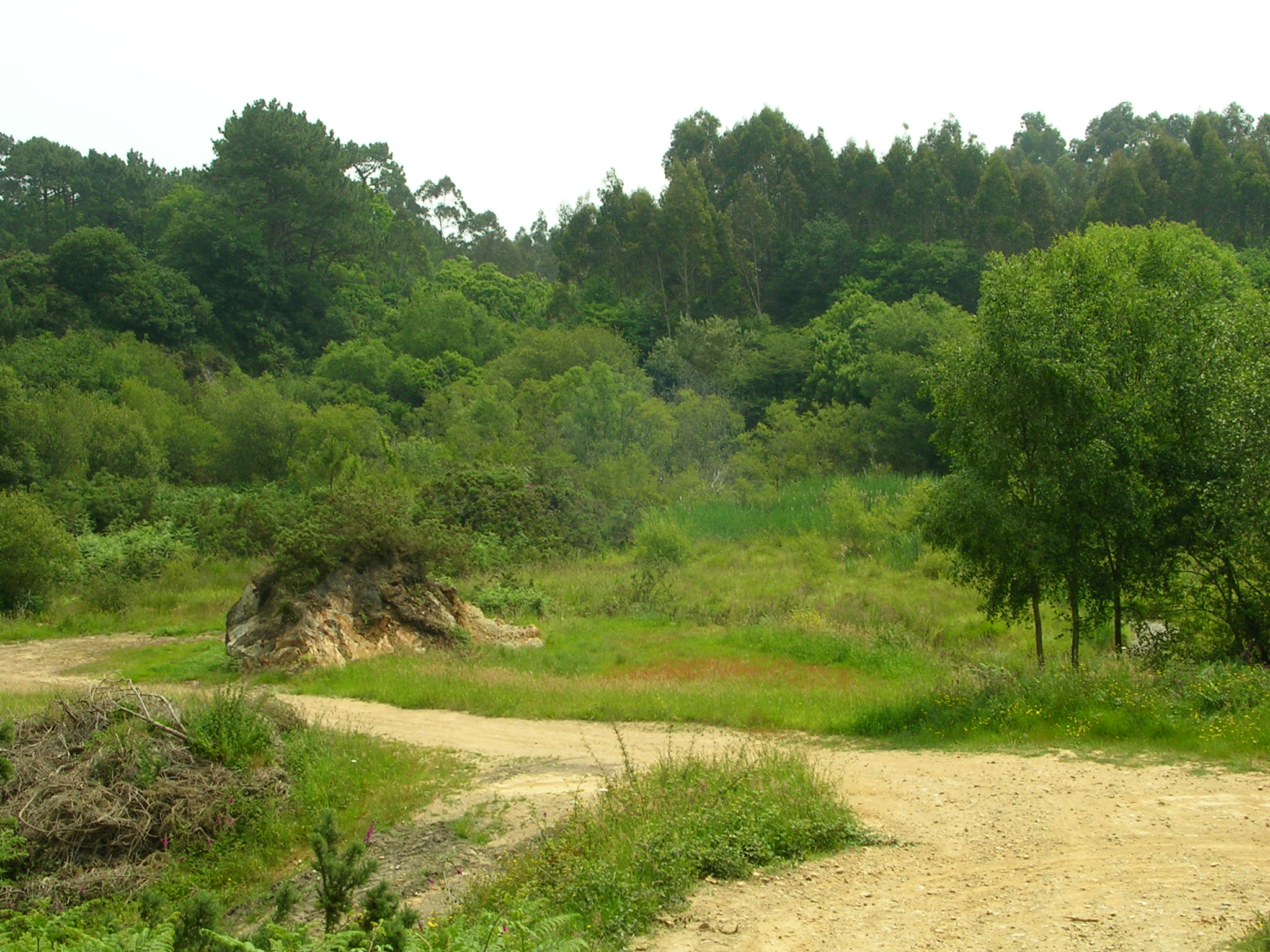Asturias. Minas vuelve a autorizar por segunda vez los sondeos de Sallave