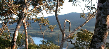 Disney compra bonos de carbono para proteger un bosque peruano