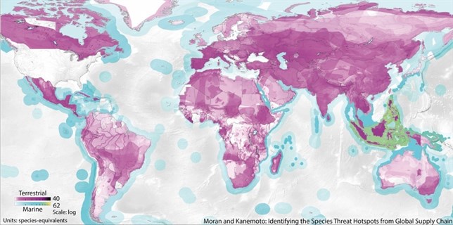 El Big data confirma que el consumo afecta a las especies en peligro