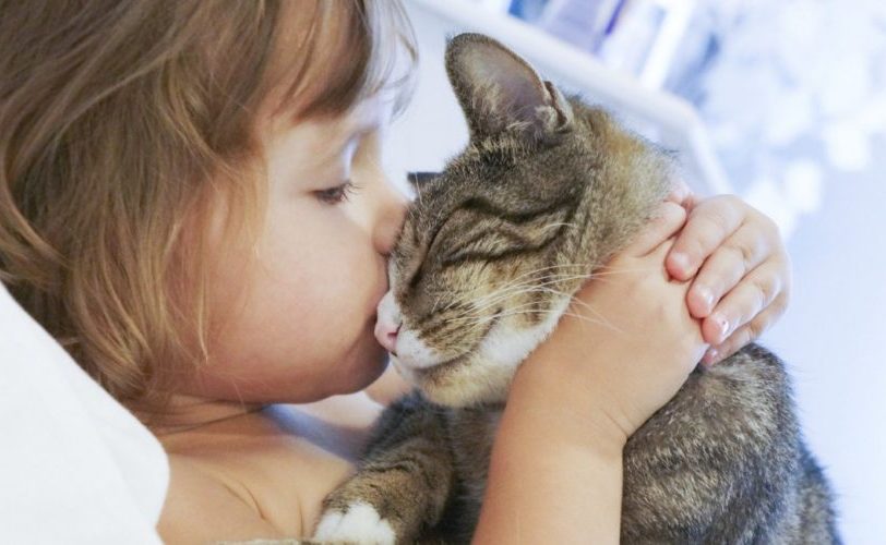 Los gatos pueden amar