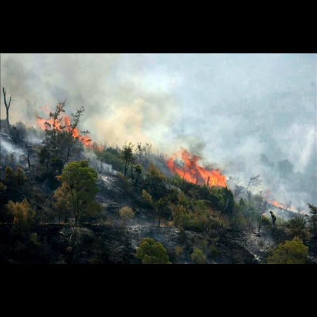 Sequía. Piden al Gobierno que se activen los protocolos de prevención contra el fuego