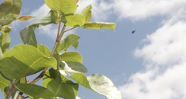 Foro Ambiental de Castilla-La Mancha