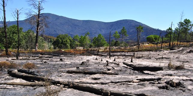 La UEx diseñará una estrategia de prevención de incendios en Gata y Hurdes