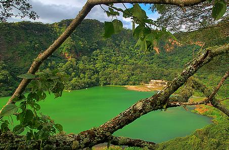 Bioinsecticida contra el dengue
