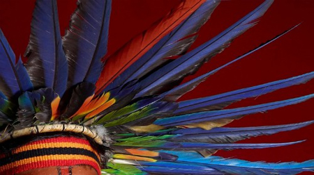 Atlas de diversidad humana…