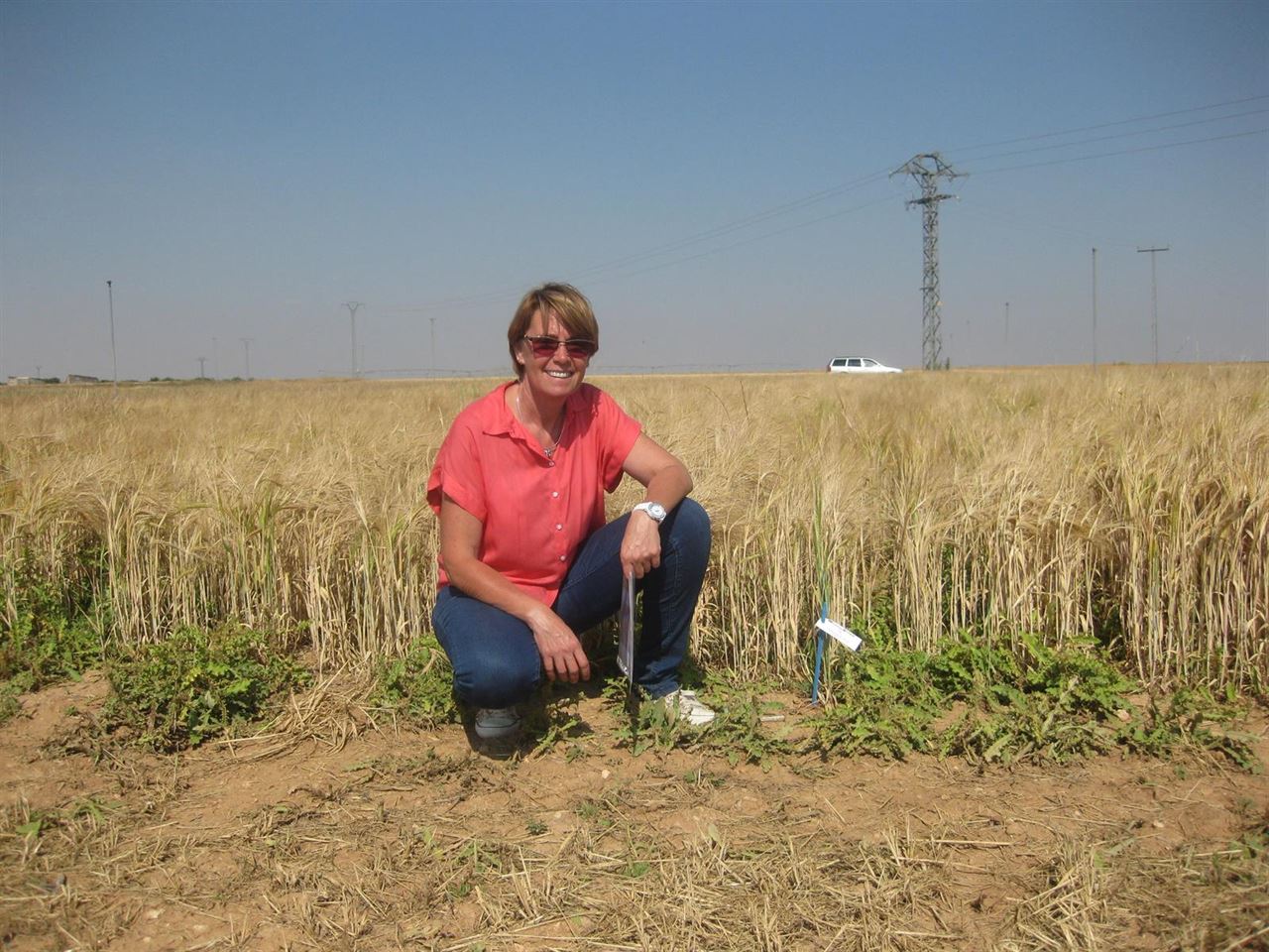 Compost y suelos agrícolas