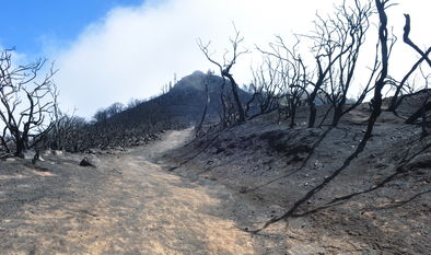 El incendio de Gran Canaria continúa estabilizado y quedan dos sectores por tener bajo control