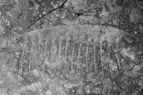 Hace 530 millones de años