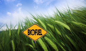 Cómo una mayor demanda de biocombustibles impacta América Latina y el Caribe