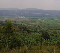 Conservando bosques pero también el sustento