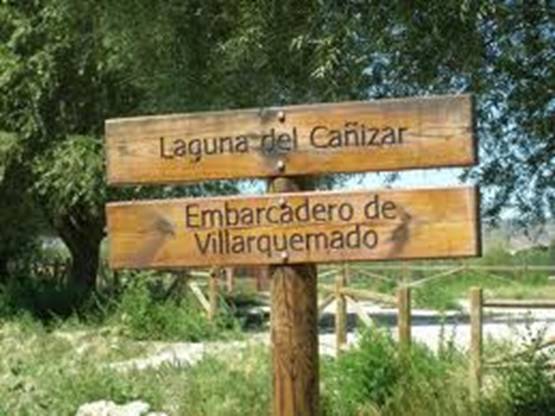 SEO/BirdLife apuesta por la recuperación de la laguna de El Cañizar (Teruel)