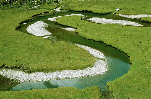 La Amazonía devastada ya recuperó la capa vegetal