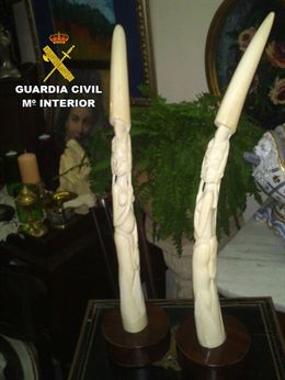 Denuncian una tienda de antigüedades de Palma de Mallorca tras hallar tres colmillos de elefante