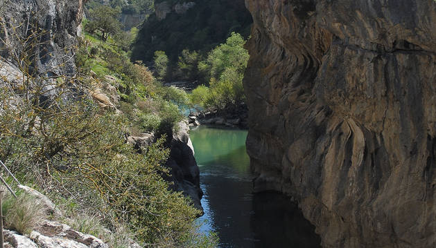 Navarra contará este año con planes de gestión de todos los espacios de la Red Natura 2000