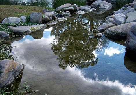 Bolivia propone a ONU declaración sobre agua como derecho humano