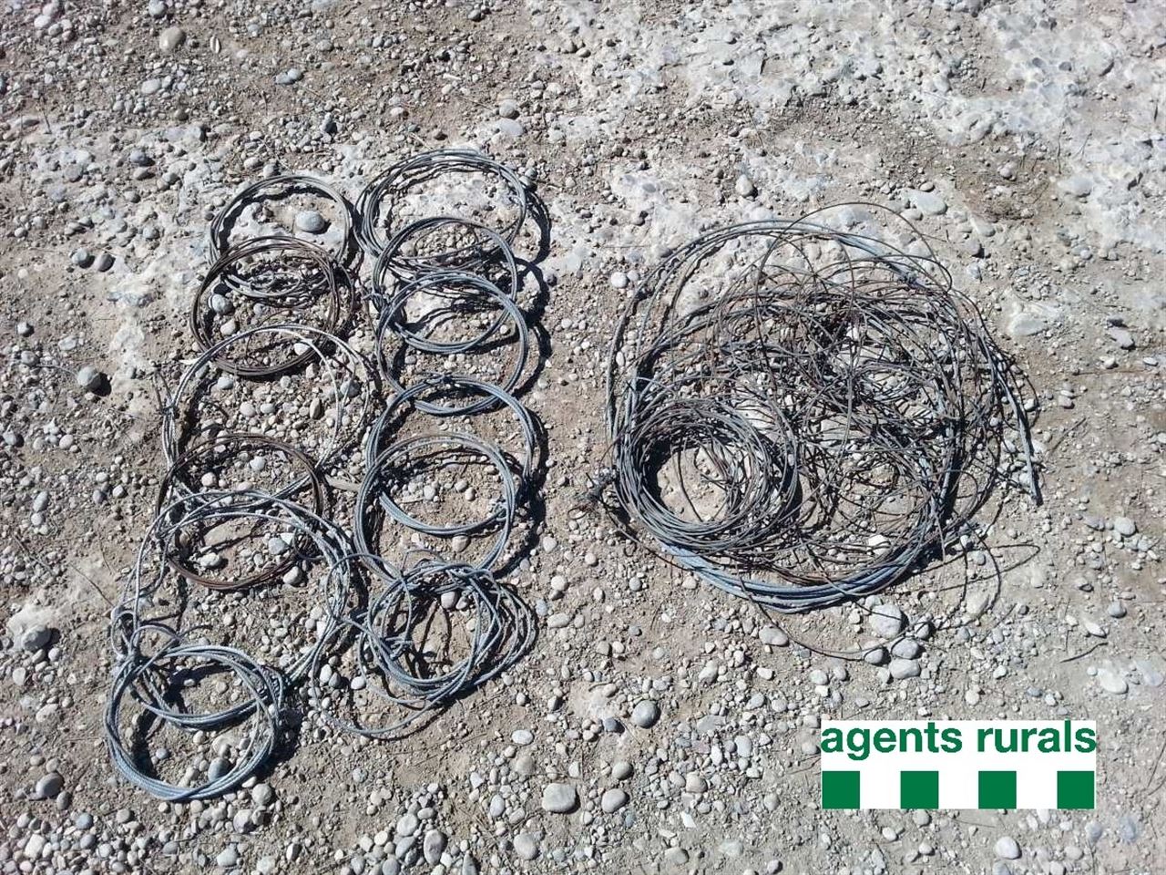 Una pesadilla para la fauna