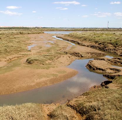 La regeneración de la ría onubense del odiel crea un valioso espacio natural