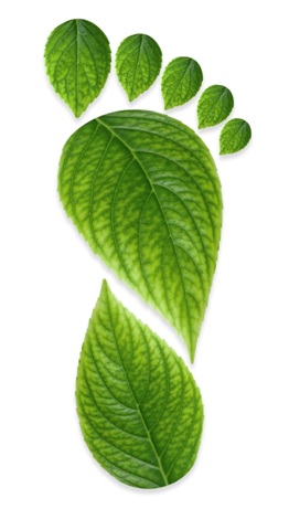 Sabrías calcular la huella de carbono Si te interesa este tema infórmate sobre el curso de la Cátedra Ecoembes