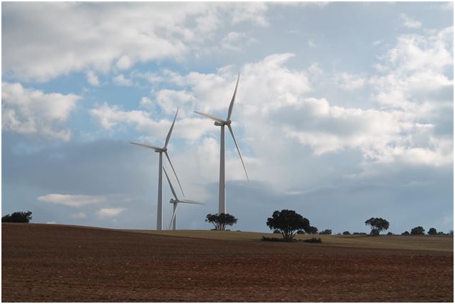 Las energías renovables ahorran miles de millones en España
