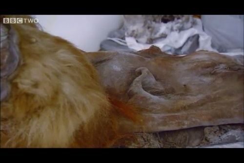 Encuentran sangre líquida en los restos de un mamut lo que abriría la puerta a su clonación