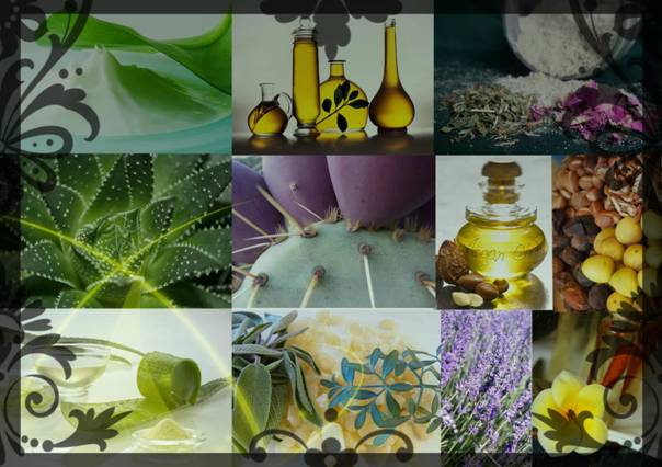 Andalucía lidera el número de empresas dedicadas al sector medioambiental