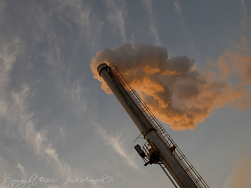 Los objetivos de recorte del CO2 se ven comprometidos por las omisiónes de la bioenergía