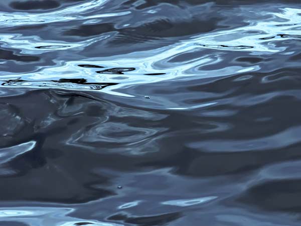 Pacto nacional del agua