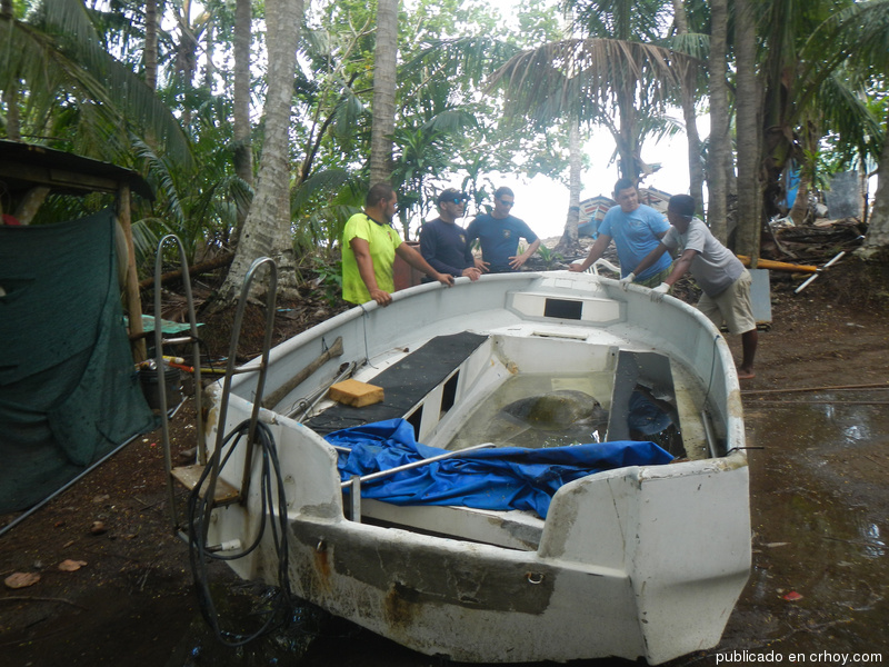 Rescatada una tortuga marina en Puntarenas