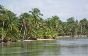 Nueva base de datos para ayudar a América Central y el Caribe a proteger la costa del cambio climático