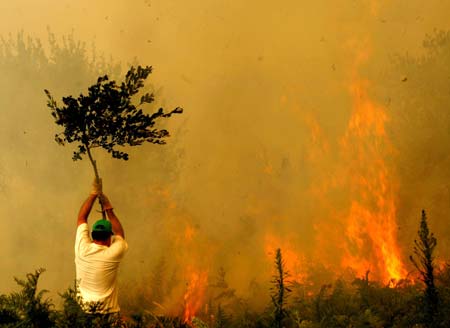 Incendio forestal en Gata de Gorgos (Alicante)