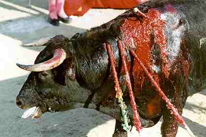 Diputación de Sevilla ‘subvenciona’ con el dinero de todos la primera Feria de Turismo Taurino