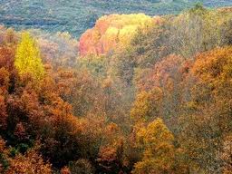 Una exposición itinerante reunirá las mejores instantáneas de la Sierra del Rincón