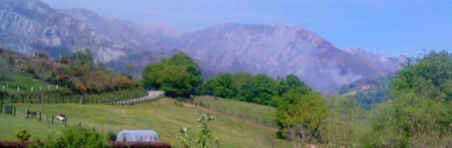 Un exdirector general de Política Forestal lamenta que la sociedad asturiana "tape" y "asuma" los incendios