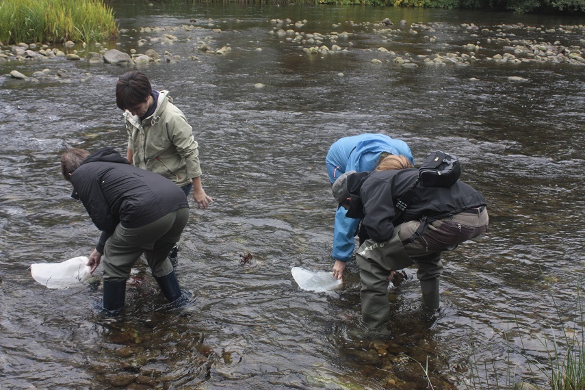 Formación en técnicas de muestreo de ríos para voluntarios.