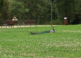 Premio del Paisaje del Consejo de Europa 2009