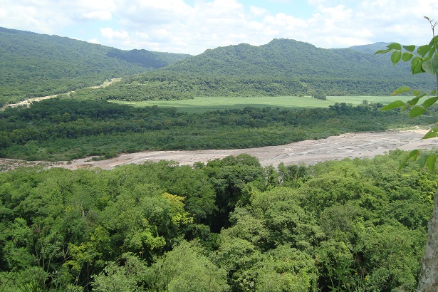Modificación de la Ley de Tierras